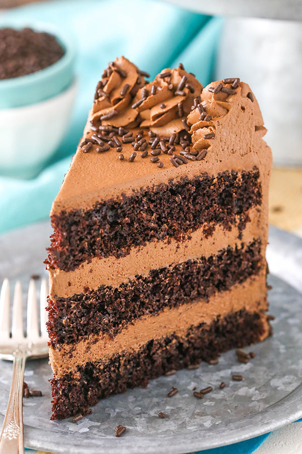 A slice of rich chocolate cake with chocolate frosting and sprinkles.