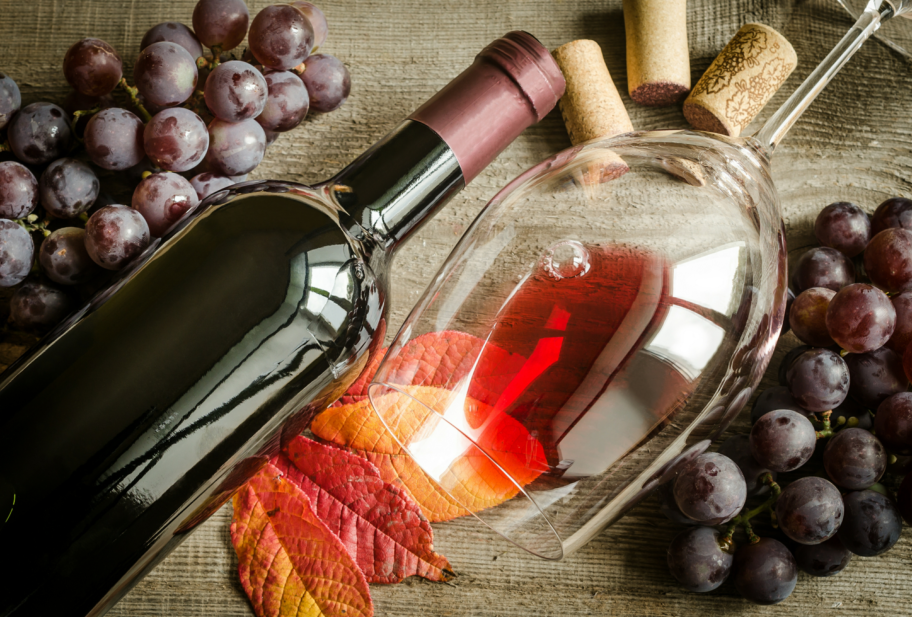Bottle and glass of red wine surrounded by grapes and autumn leaves.