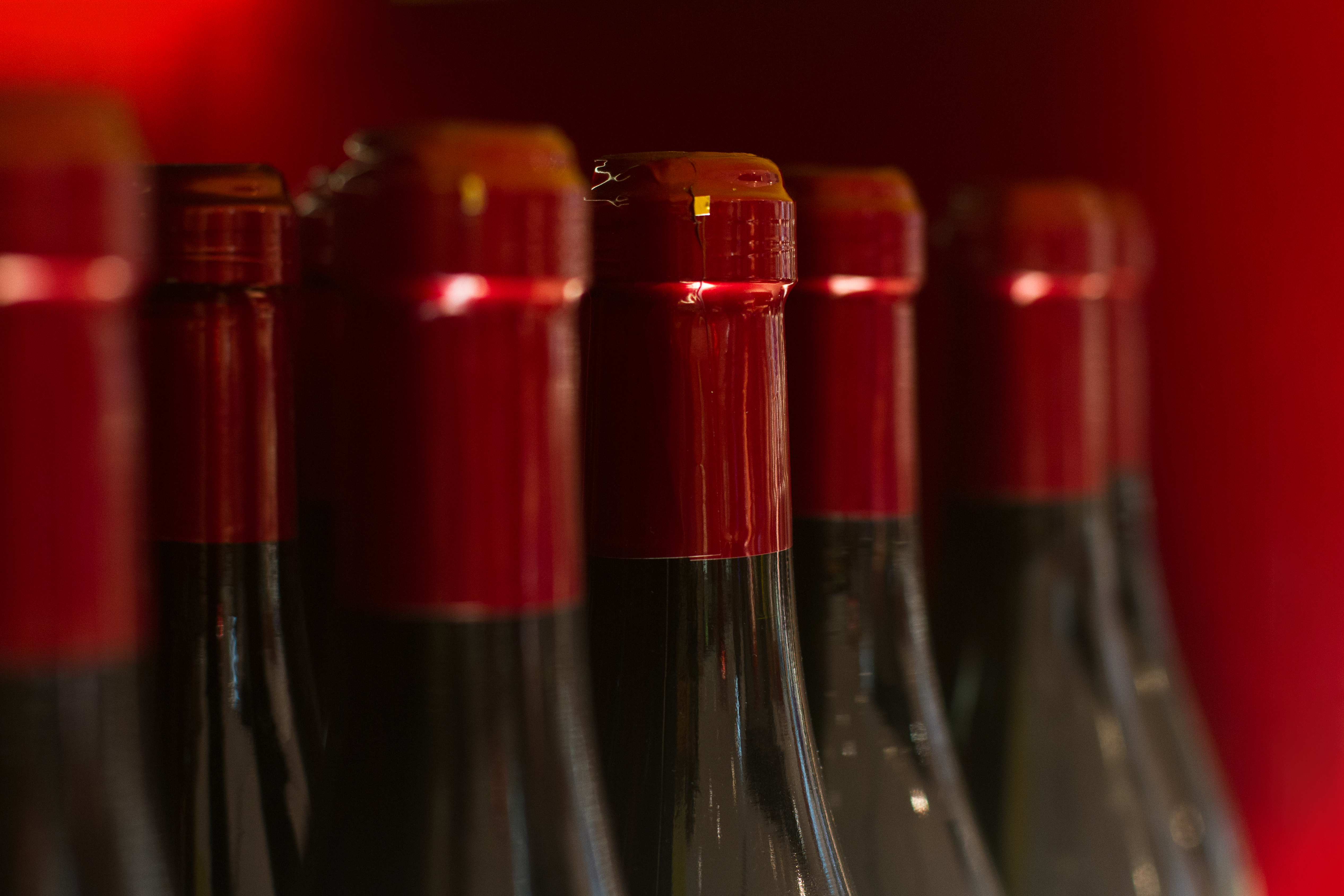 Close-up of red wine bottles with red foil caps lined up in a row.