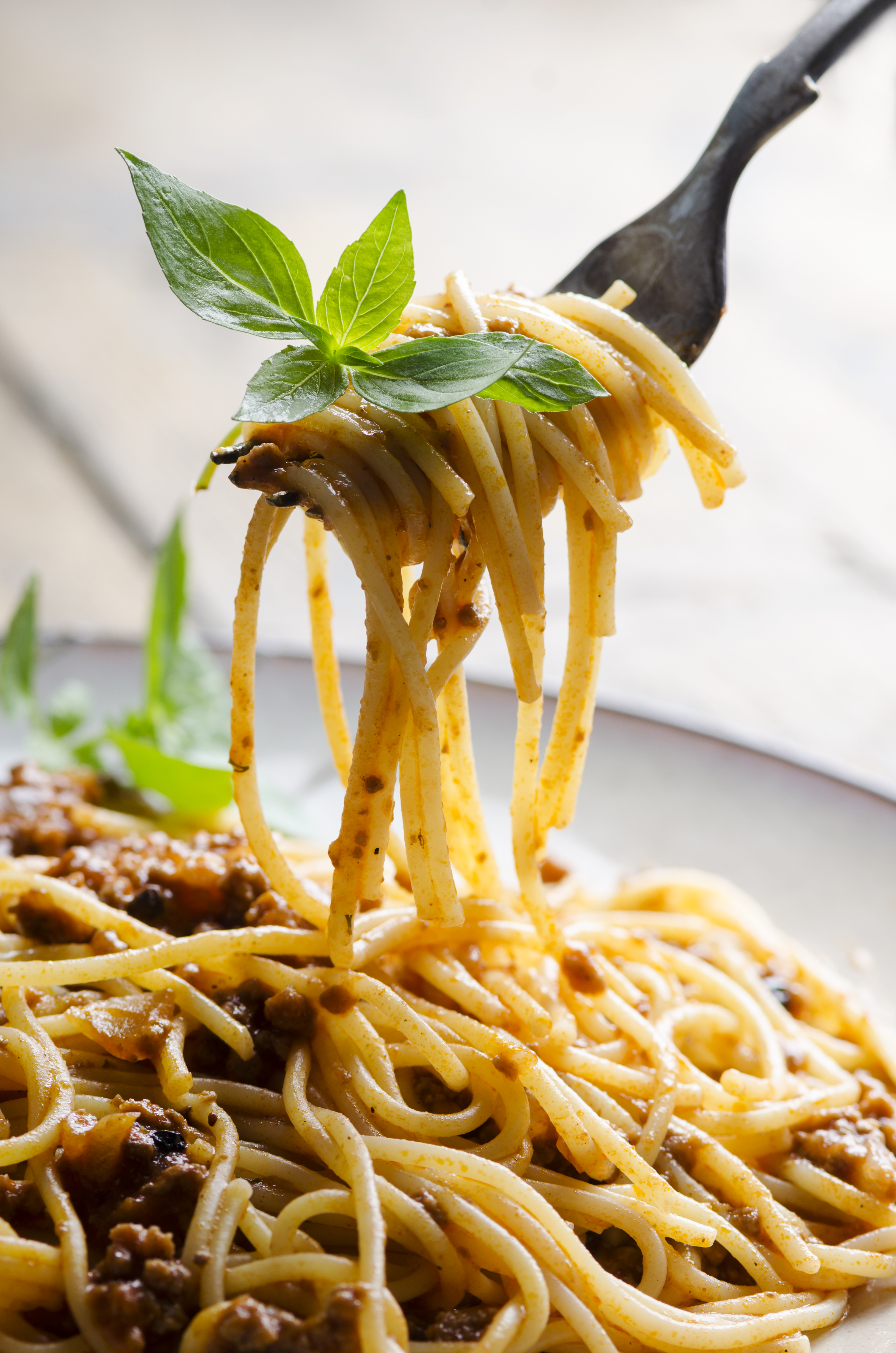 Close-up of spaghetti with sauce being twirled on a fork.