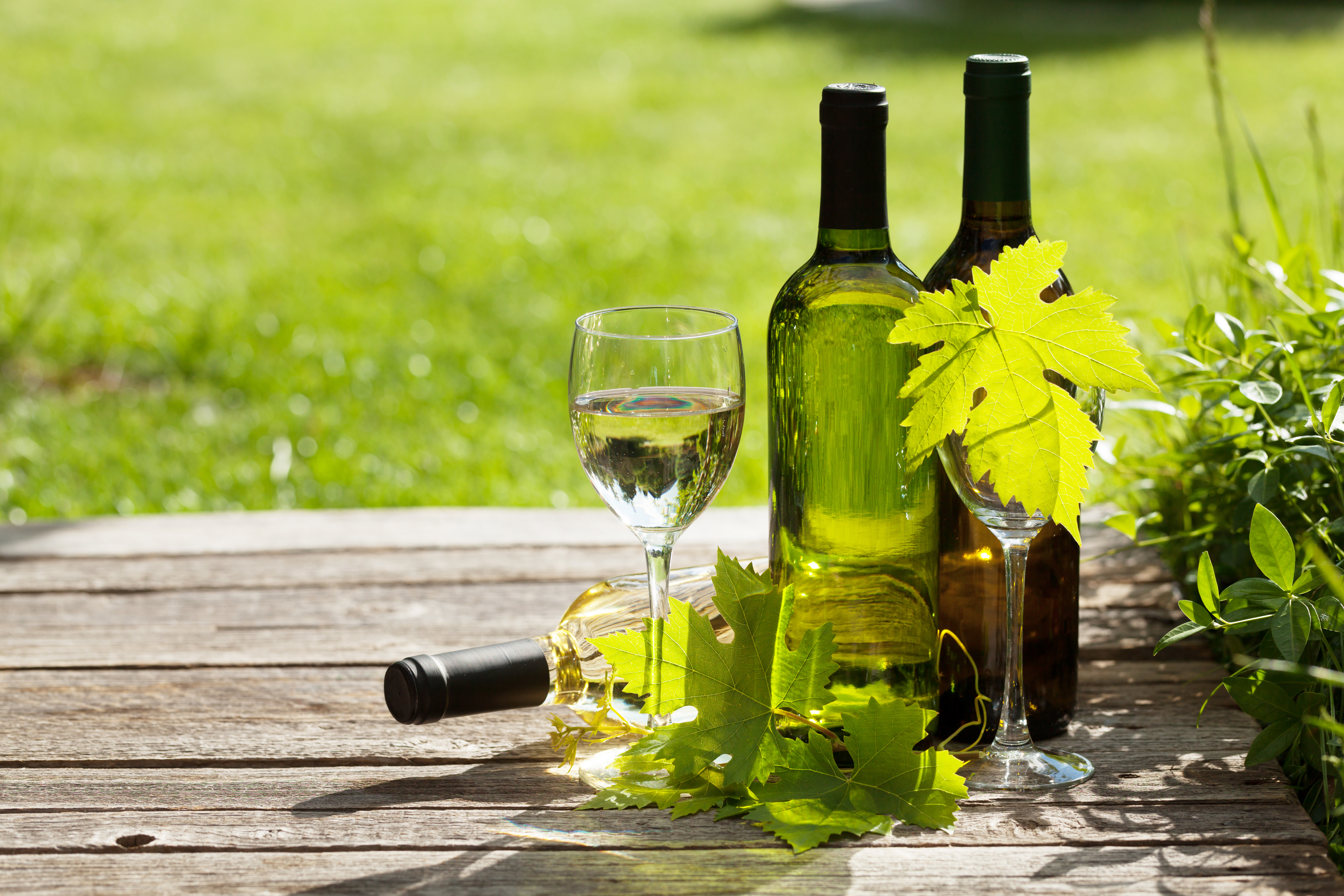 Two wine bottles and a glass on a wooden table with green leaves outdoors.